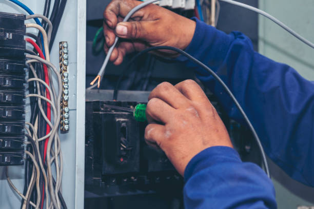 Best Affordable Electrician  in Plum Grove, TX
