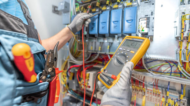Best Electrician for Home Renovation  in Plum Grove, TX